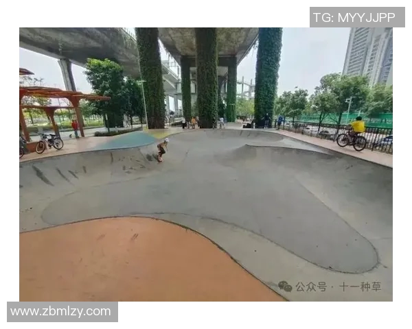 极限运动战术探秘：武汉极限运动队的创新阵地战体系解析