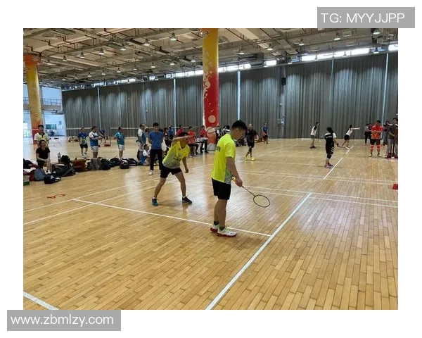 深圳羽毛球队在杯赛中的技术表现分析与总结